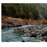 Indigenous Ecology Stewardship eBook English Kindle Store-0