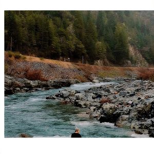 Indigenous Ecology Stewardship eBook English Kindle Store-0