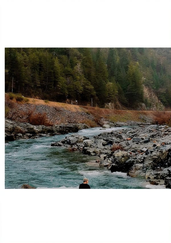 Indigenous Ecology Stewardship eBook English Kindle Store-0