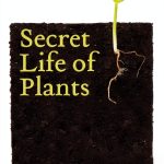 Harper Paperbacks Botany Kindle Store Book-0