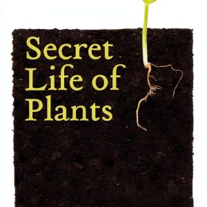 Harper Paperbacks Botany Kindle Store Book-0