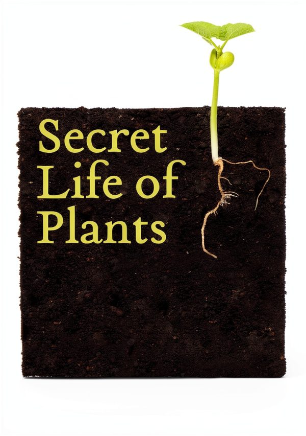 Harper Paperbacks Botany Kindle Store Book-0